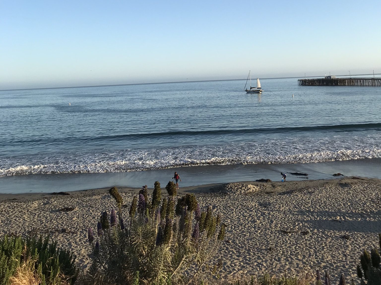 The pier and shoreline a few minutes from The Grind
